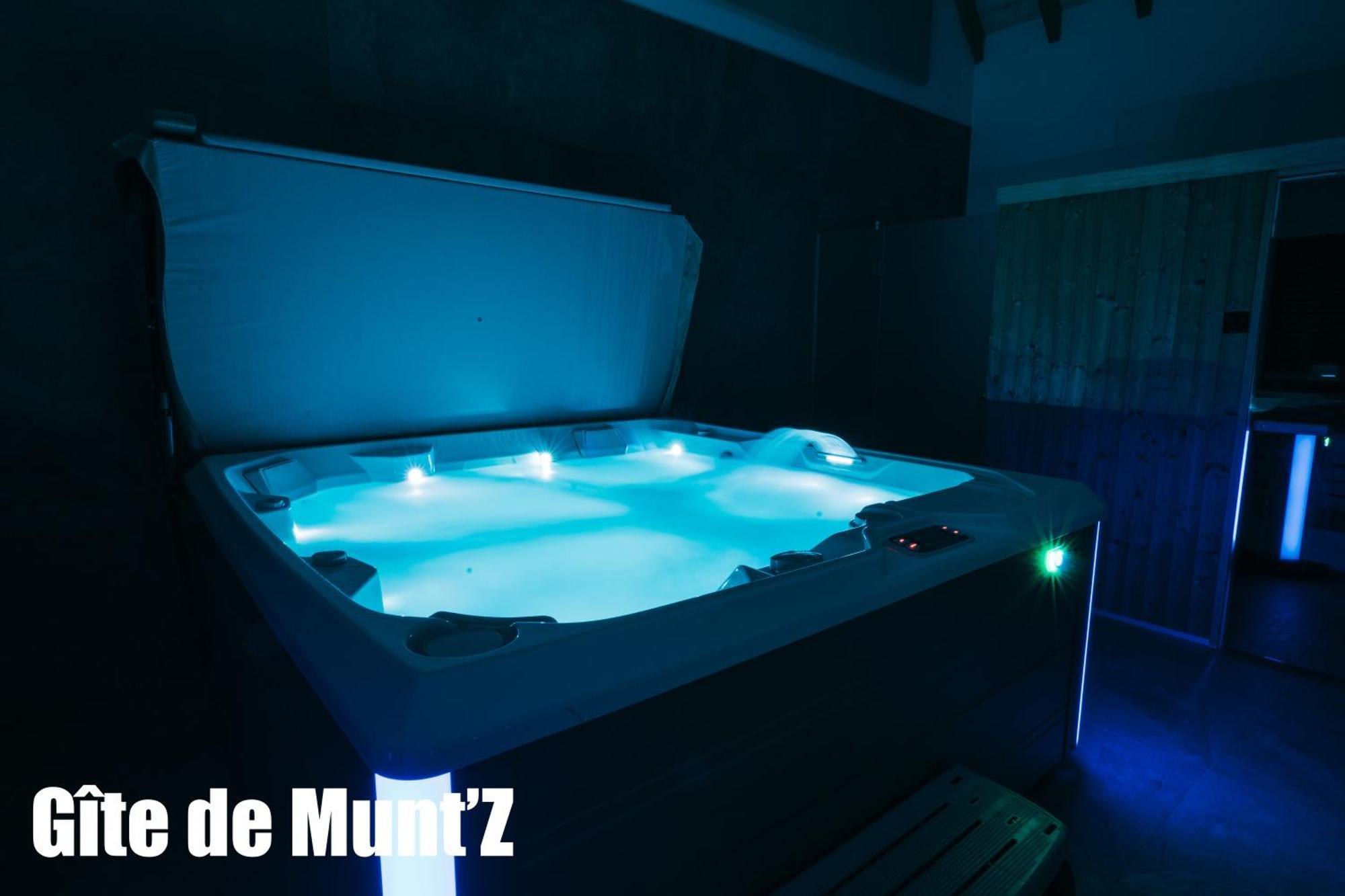 Gîte de Munt'Z SPA, Sauna, piscine, proche de Colmar Muntzenheim Exterior foto
